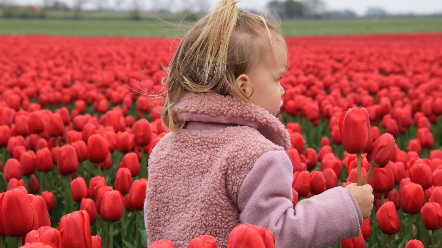 Holanda Países Bajos con niños Viajar a Holanda con niños