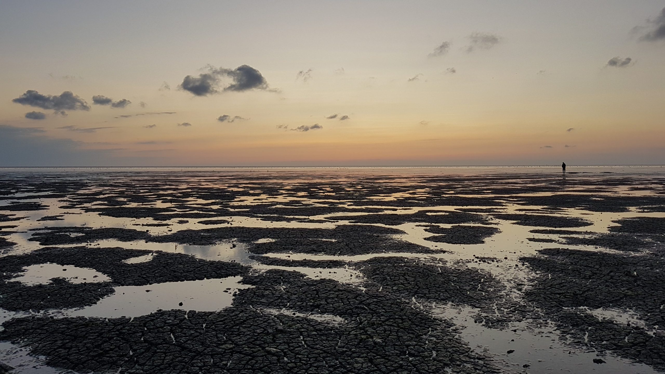 hacer senderismo por las marismas del mar de frisia